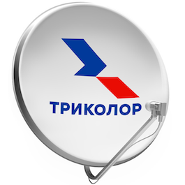 Мастер Триколор Петергоф
